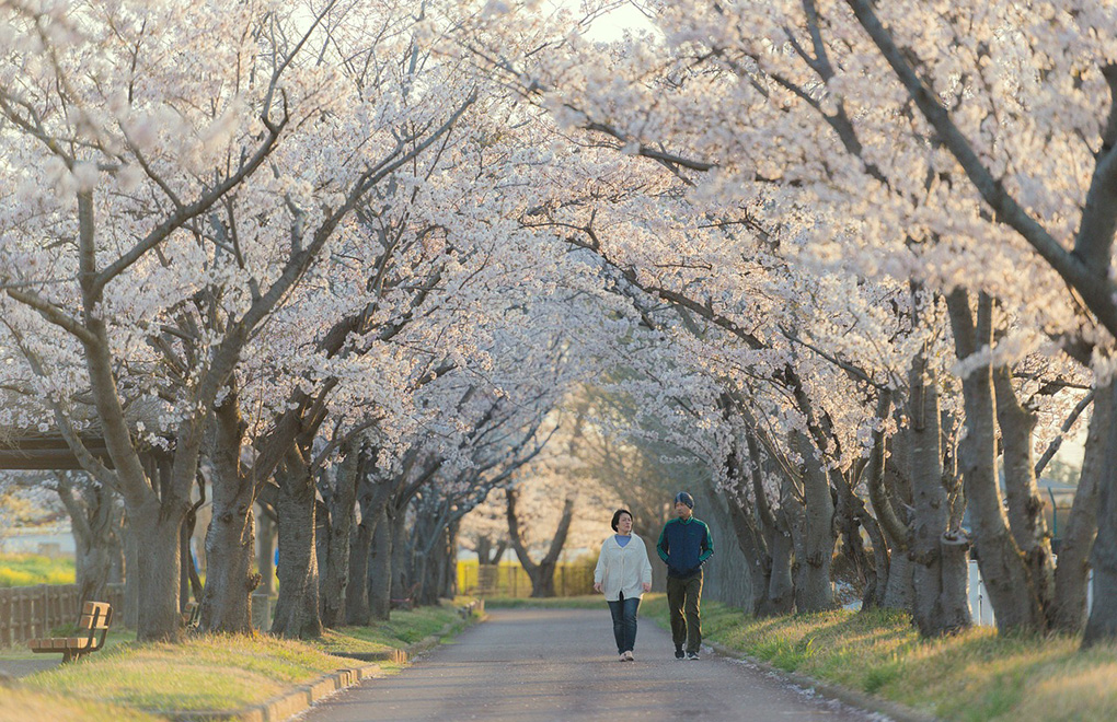 春のメンテナンス